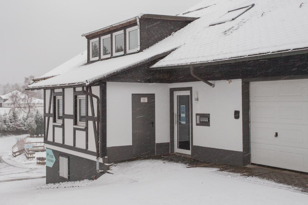 Talblick Daire Winterberg Dış mekan fotoğraf